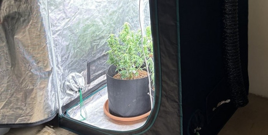 Πέλλα/σύλληψη για καλλιέργεια κάνναβης: Οργανωμένος με σύστημα εξαερισμού, λαμπτήρας και όλα τα σχετικά