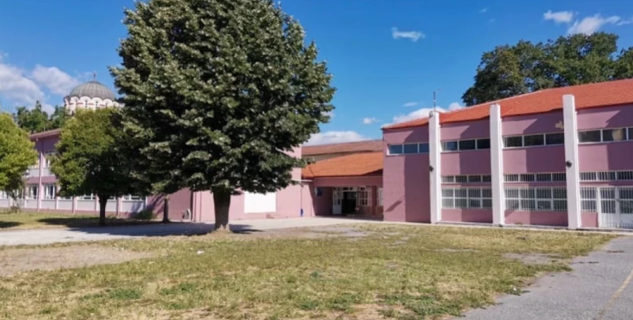 Γυμνάσιο Σκύδρας: Εκδήλωση με ομιλήτρια την καθηγήτρια Δ.Δ.Ο. Παρούλα Περράκη για τα Δικαιώματα του Παιδιού