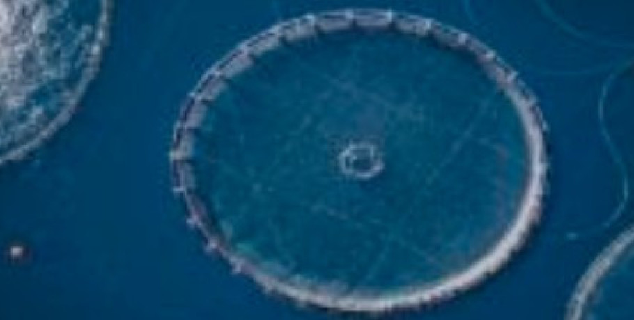 Θαλάσσια υδατοκαλλιέργεια και κλιματική αλλαγή: Τι σημαίνει για τους καταναλωτές