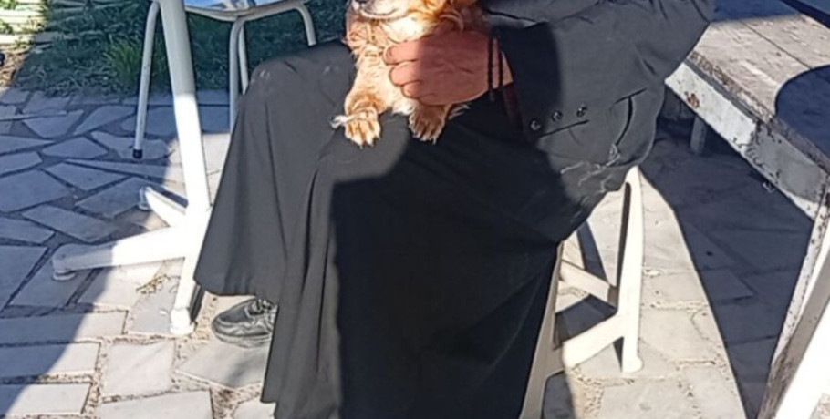 Ένα περιστατικό με προεκτάσεις: Σκυλάκι από την Έδεσσα, υιοθεσία και ένα ηθικό δίλημμα