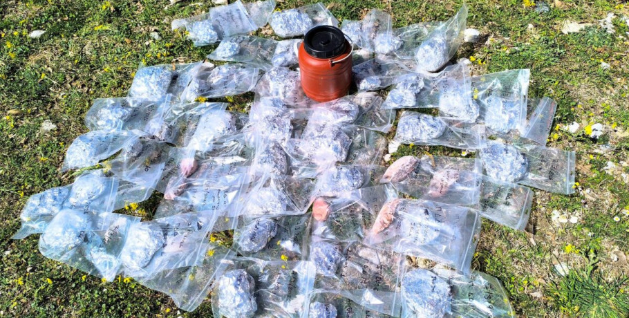 Σε έξαρση το φαινόμενο των δηλητηριασμένων δολωμάτων στη Βόρεια Πίνδο