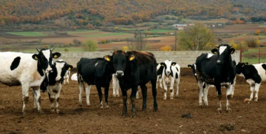 ΥΠΑΑΤ: 8 νέα επιβεβαιωμένα κρούσματα αφθώδους πυρετού στη Λέσβο