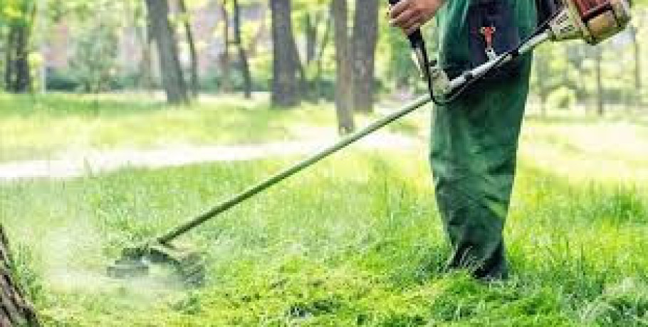 Ανακοίνωση του Δήμου Αλμωπίας για καθαρισμό οικοπέδων