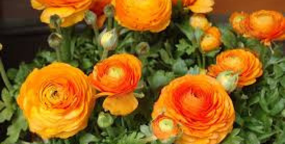 Ποιοι γιορτάζουν σήμερα