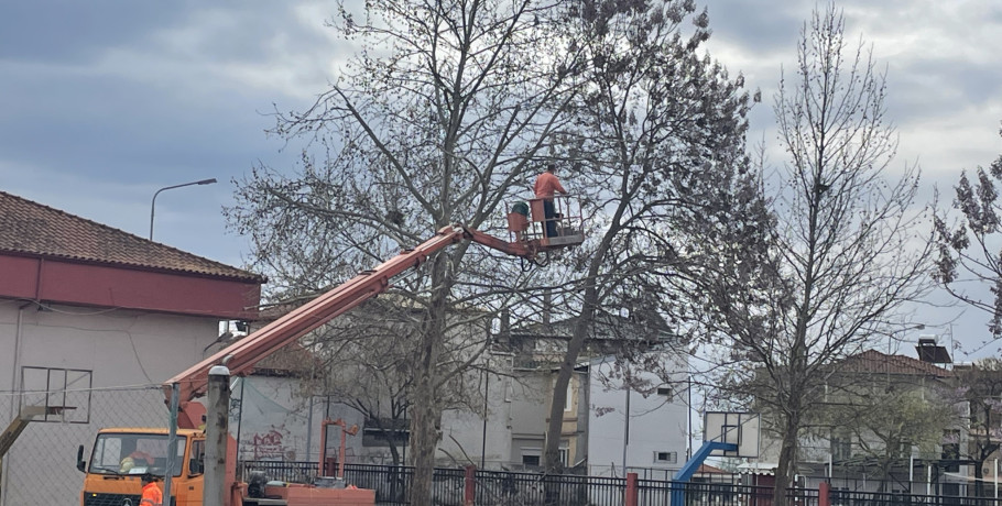 1ο Γυμνάσιο Γιαννιτσών- Ευχαριστήριο προς το Δήμο Πέλλας
