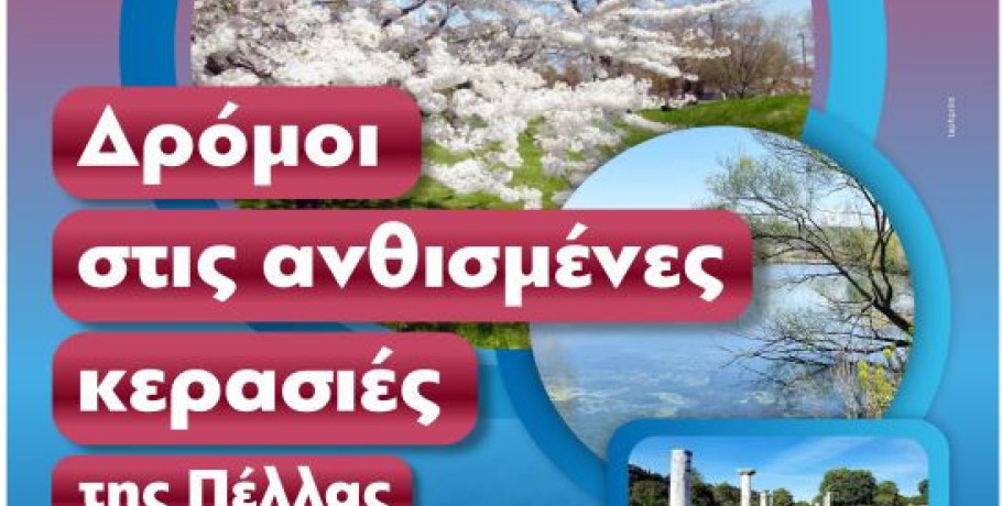 «Όταν ανθίζουν οι κερασιές της Πέλλας 2026»