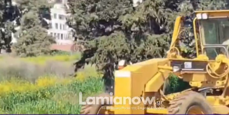 Στο πεδίο ο δήμαρχος Λαμιέων – Πήρε το GRADER και συμμετείχε στον καθαρισμό οικοπέδου (ΒΙΝΤΕΟ)