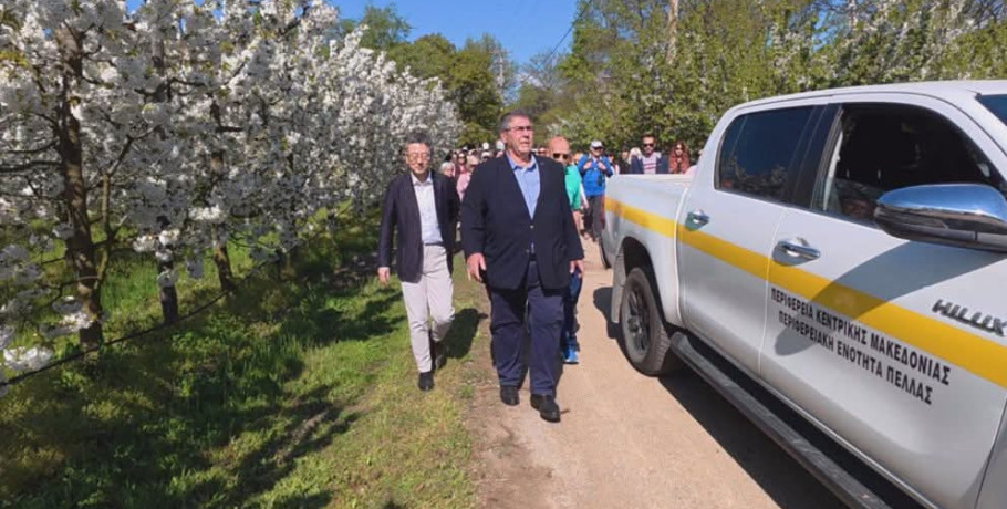 Ανθισμένες κερασιές: Η Πέλλα γιορτάζει την άνοιξη και αναδεικνύει την τοπική παραγωγή