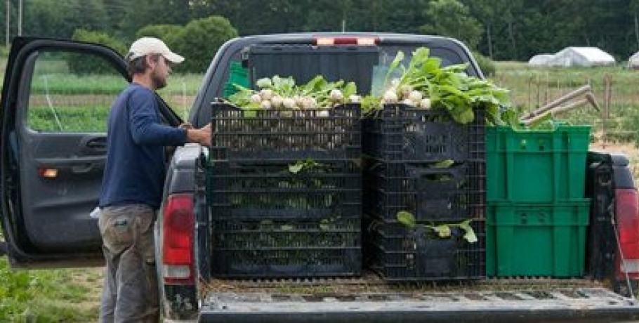 Οδηγίες σχετικά με αγρότες και υπαίθριους πωλητές αγροτικών προϊόντων για το ψηφιακό δελτίο αποστολής