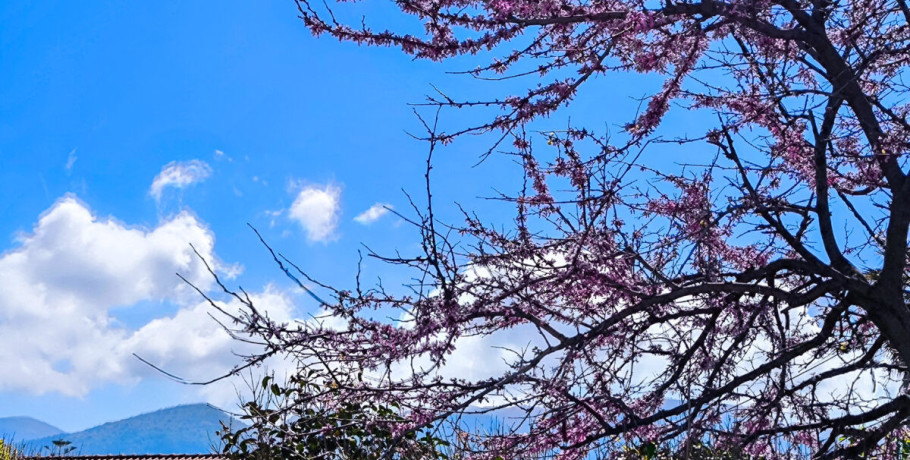 Καιρός: Ανοιξιάτικη ζέστη το πρωί και καταιγίδες το απόγευμα