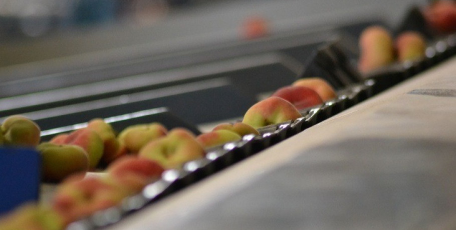 Η εταιρεία Medifresh A.E. αναζητά προσωπικό για την παραγωγή