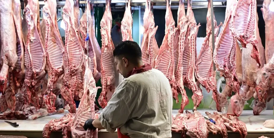 Πάσχα 2026: «Χρηματιστήριο» οι τιμές σε αρνί και κατσίκι, αυξάνονται με τη ζήτηση όσο πλησιάζει η Ανάσταση – Η εικόνα της αγοράς