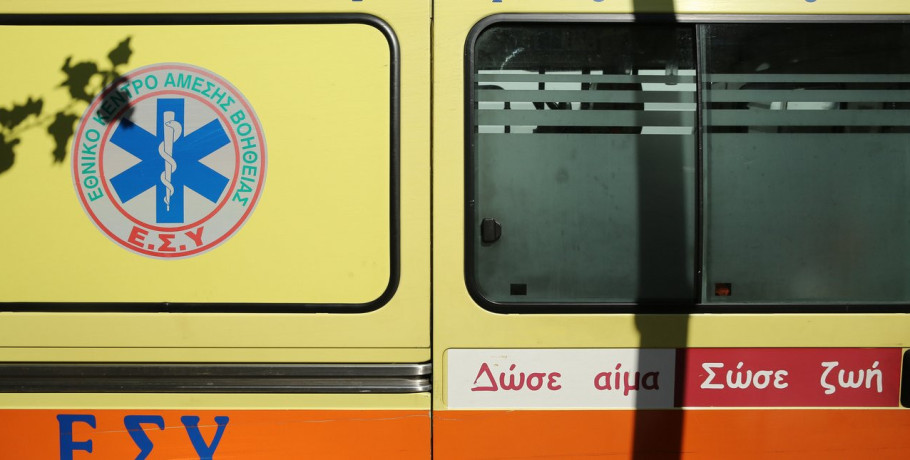 Σκύλος δάγκωσε 2 ετών κοριτσάκι στο κεφάλι