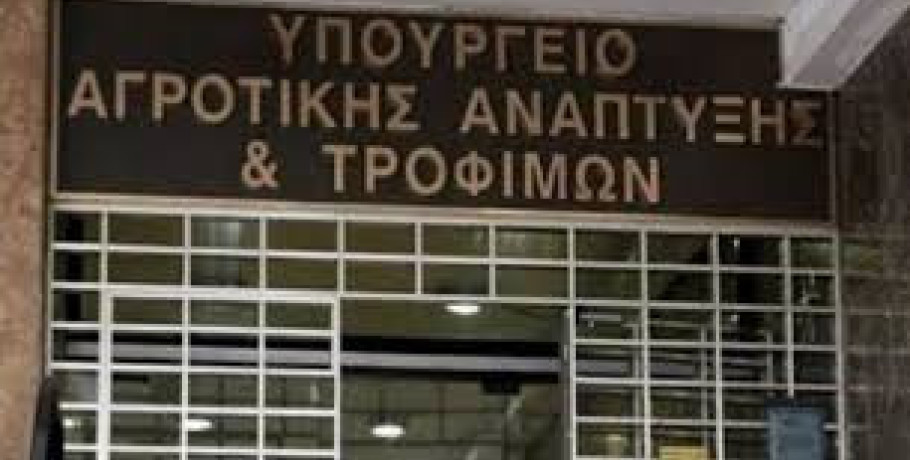 Αποζημιώσεις έως 8 εκατ. ευρώ για τυροκομικές επιχειρήσεις στη Λέσβο λόγω αφθώδους πυρετού