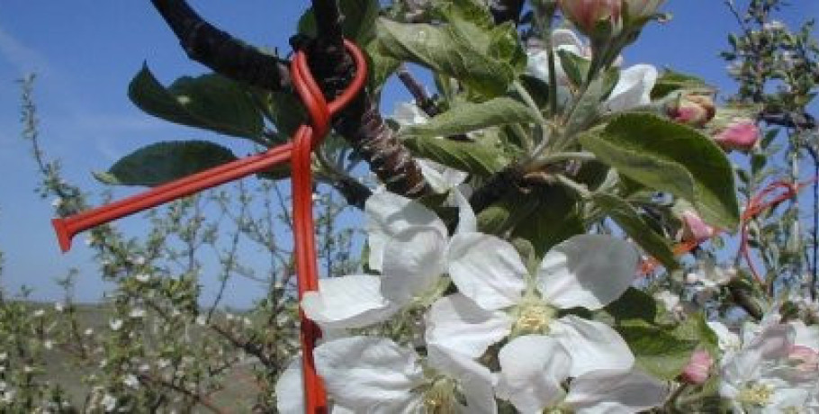 Από 1ης Ιουλίου τροποποιήσεις ή μεταβιβάσεις για φέτος στα πλαίσια της πρόσκλησης για το Κομφούζιο