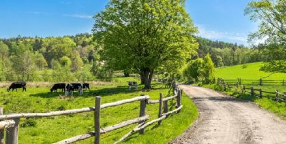 Ξεκινά η διαβούλευση για την νέα Κοινή Αγροτική Πολιτική από το 2028 έως το 2034 σε εθνικό επίπεδο