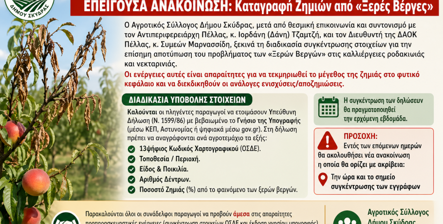 Συναγερμός στη Σκύδρα: Επείγουσα καταγραφή ζημιών από «Ξερές Βέργες» σε ροδάκινα και νεκταρίνια