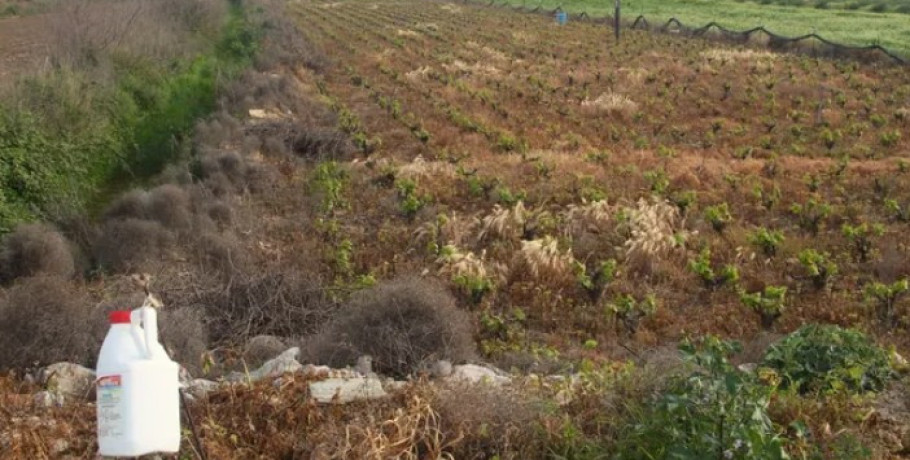 Δηλητηριάζοντας την άνοιξη και τους εαυτούς μας: Η αόρατη απειλή των επικίνδυνων φυτοφαρμάκων
