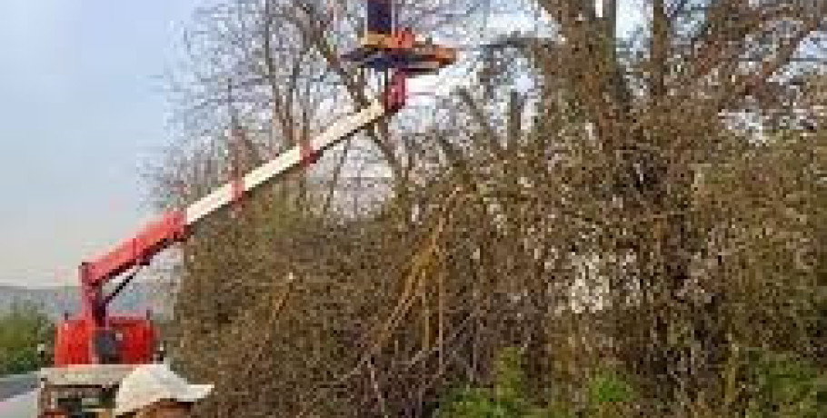 Εργασίες κοπής πρασίνου στην Εθνική Οδό 2 Θεσσαλονίκης- Έδεσσας από από την ΠΚΜ