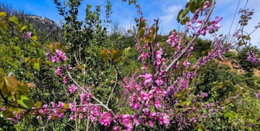 Καιρός αύριο: Στους 33 βαθμούς η θερμοκρασία – Ισχυροί άνεμοι έως 7 μποφόρ στο Αιγαίο