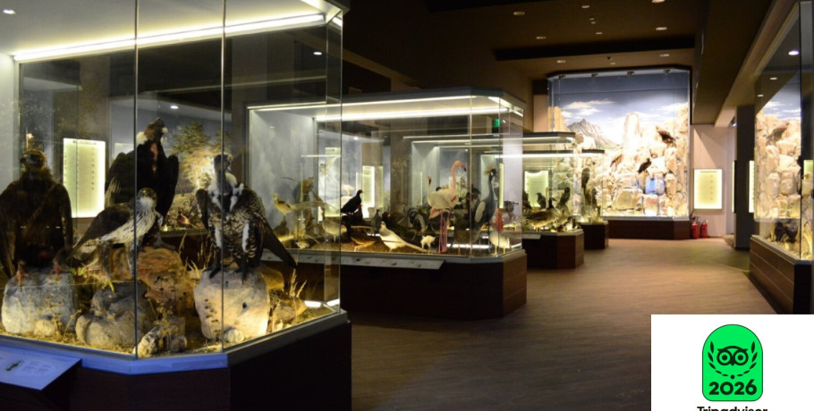 Διεθνής Αναγνώριση για το Μουσείο Φυσικής Ιστορίας Μετεώρων και Μουσείο Μανιταριών 5ο στην Ευρώπη