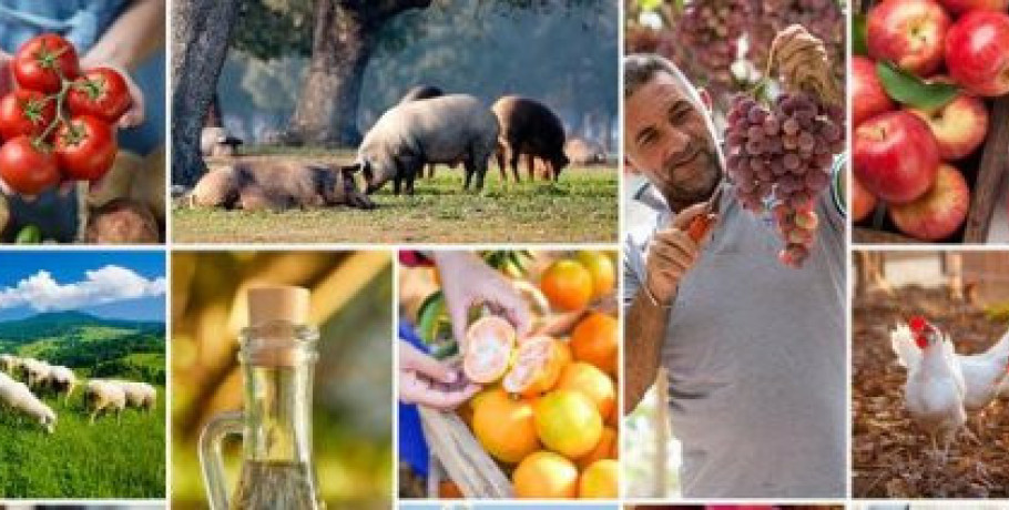 Κοινοτική στήριξη για την αγροτική ανάπτυξη στο 80% ζητούν οι Περιφερειακές Αρχές της Ε.Ε.