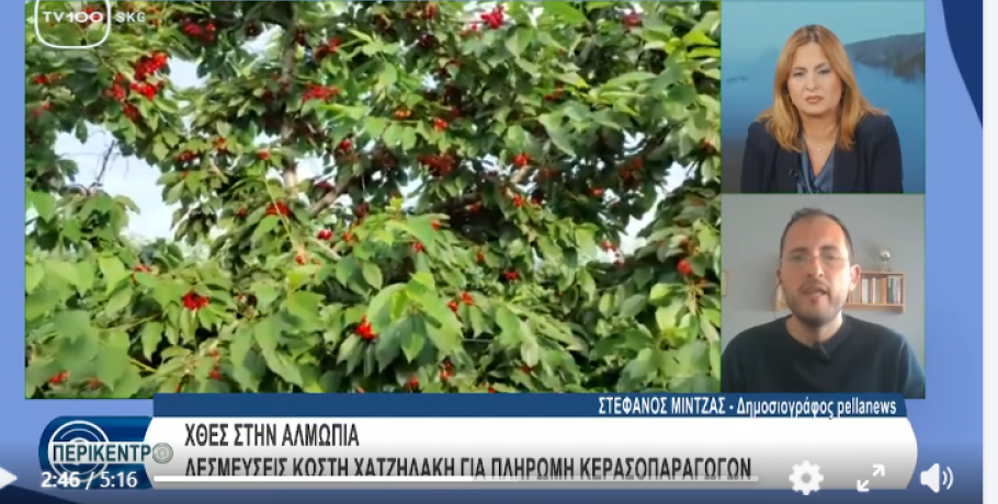 Στέφανος Μίντζας στο TV100: Ουσιαστική στήριξη των κερασοπαραγωγών και της Αλμωπίας