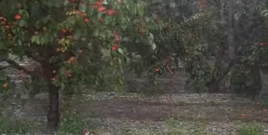 Σφοδρή χαλαζόπτωση έπληξε την Ανατολική Αλμωπία