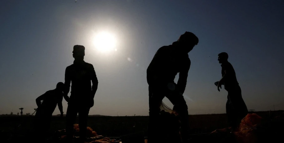 Σε εφαρμογή η συμφωνία Ελλάδας-Αιγύπτου για 5.000 εργάτες γης