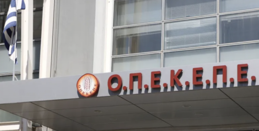 ΟΠΕΚΕΠΕ: Απολογούνται οι 17 συλληφθέντες από τη Βόρεια Ελλάδα – Βαρύ το κατηγορητήριο