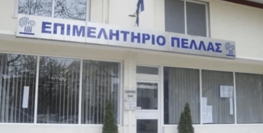 Επιμελητήριο Πέλλας: "Επιχειρηματικότητα και τεχνολογία στην πράξη-Απλές εφαρμογές που αλλάζουν το μέλλον των επιχειρήσεων"