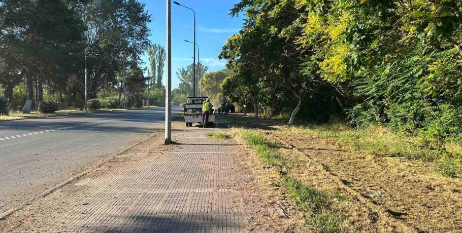 Ιγνατιάδου: Καθημερινές παρεμβάσεις στην Σκύδρα