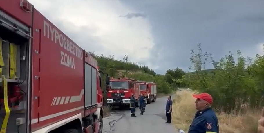 Αποκλειστικό Βίντεο Pellanews.gr: Στιγμές από τη μεγάλη φωτιά στην Καλή Πέλλας