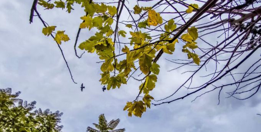 Καιρός αύριο: Μπουρίνια και χαλάζι σε Μακεδονία, Ήπειρο, Θεσσαλία, Σποράδες και Εύβοια