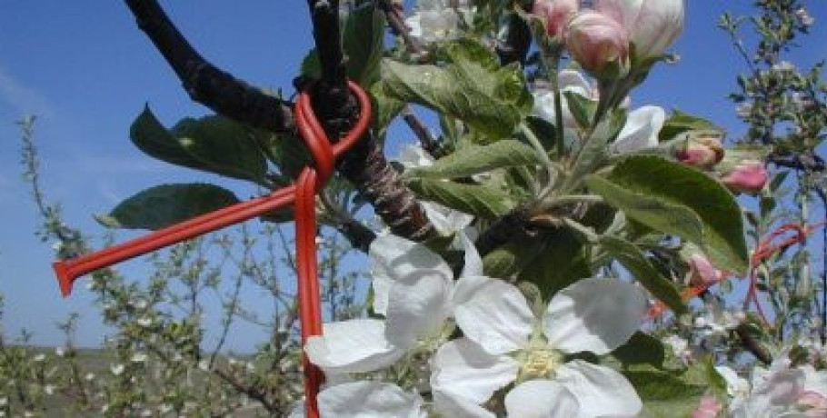 Έως τις 1/7 ενστάσεις για κομφούζιο και νιτρορύπανση και έως τις 24/6 για βιολογικά και αυτόχθονες φυλές