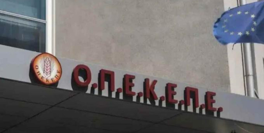 ΟΠΕΚΕΠΕ: Δύο προφυλακίσεις για το κύκλωμα στην Κοζάνη