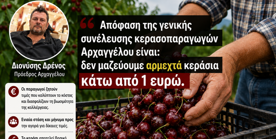 Απόφαση-ορόσημο από τους κερασοπαραγωγούς Αρχαγγέλου: «Δεν μαζεύουμε αρμεχτά κεράσια κάτω από 1 ευρώ»