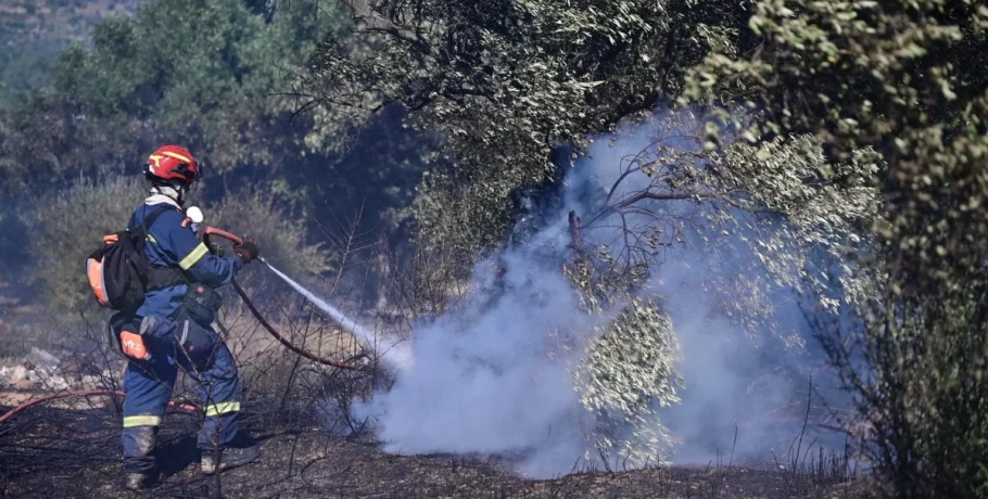 Μπαράζ συλλήψεων για τις φωτιές σε όλη τη χώρα – Χειροπέδες σε 4 σε Βοιωτία, Λάρισα, Χαλκιδική και Θεσσαλονίκη