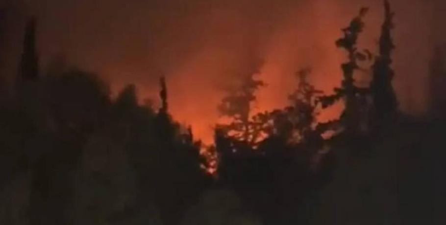 Πυροσβεστική: 44 αγροτοδασικές πυρκαγιές το τελευταίο 24ωρο