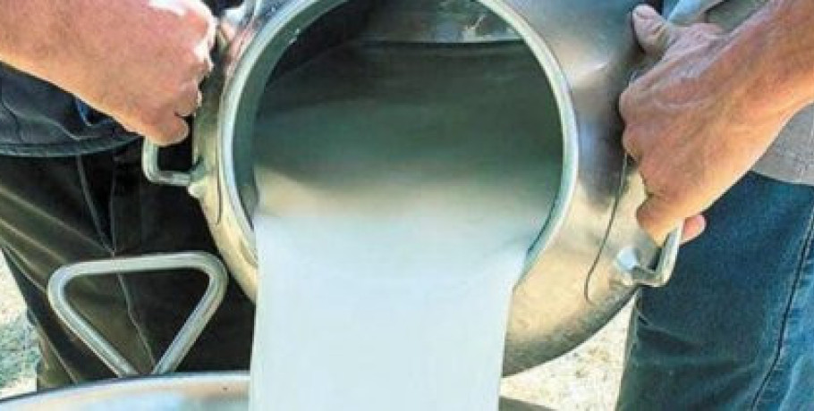 Οι ενισχύσεις ανά τόνο γάλακτος στα μικρά νησιά του Αιγαίου για παραγωγή τυριών και γιαούρτης