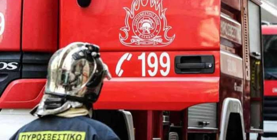 Φωτιά στην Εύβοια: Πιθανή αιτία η πτώση κεραυνού