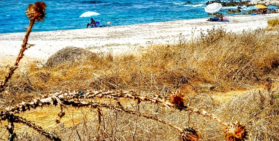 Καιρός: Τους 37 βαθμούς Κελσίου θα αγγίζει σήμερα (30/6) η θερμοκρασία - Πού θα βρέξει