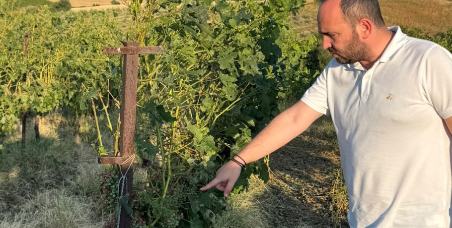 Επίσκεψη Λάκη Βασιλειάδη σε περιοχές που επλήγησαν από το χαλάζι στη Λεπτοκαρυά Γιαννιτσών και την Βεγορίτιδα