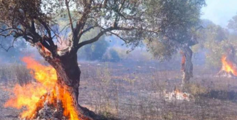 Μήνυμα 112 για τη φωτιά στα Σπάτα: «Παραμείνετε σε ετοιμότητα»