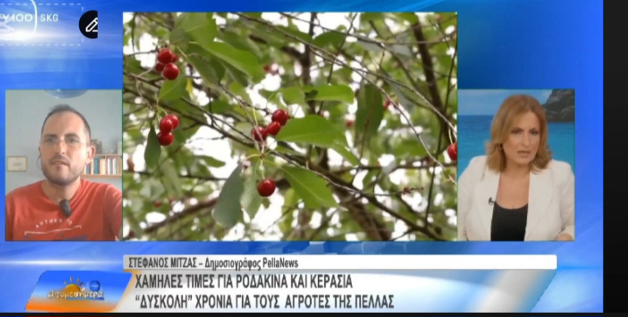 Στο TV100 ο δημοσιογράφος του PellaNews.gr Στέφανος Μίντζας: «Οι αγρότες της Πέλλας βρίσκονται σε οριακή κατάσταση»
