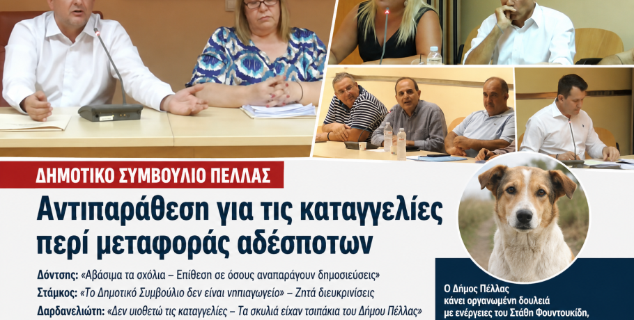 Δημοτικό Συμβούλιο Πέλλας: Αντιπαράθεση για τις καταγγελίες περί μεταφοράς αδέσποτων – Η απάντηση της Δημοτικής Αρχής