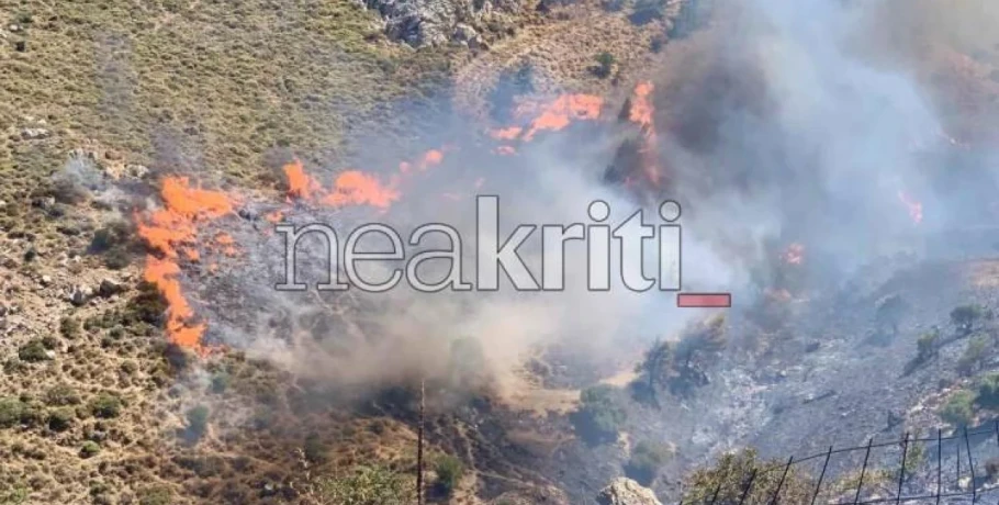 Ηράκλειο: Δραματική μάχη με τις φλόγες στο Μελιδοχώρι – Ήχησε νέο 112 για εκκένωση