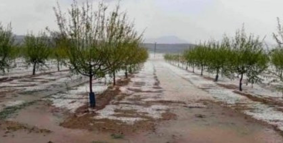 Προαναγγελία τροπολογίας για αποζημιώσεις στο 100% από τις χαλαζοπτώσεις