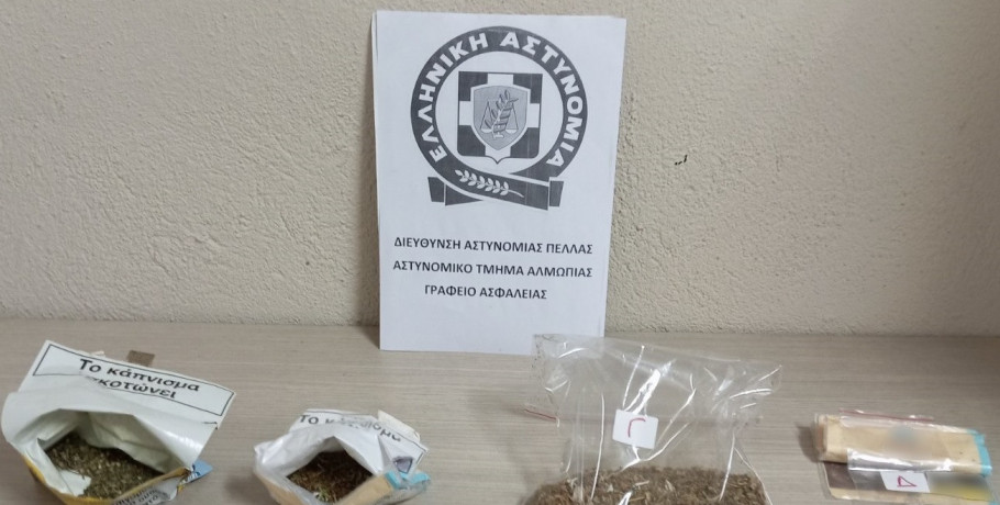 Συνελήφθησαν 2 άτομα στην Πέλλα για καλλιέργεια δενδρυλλίων κάνναβης