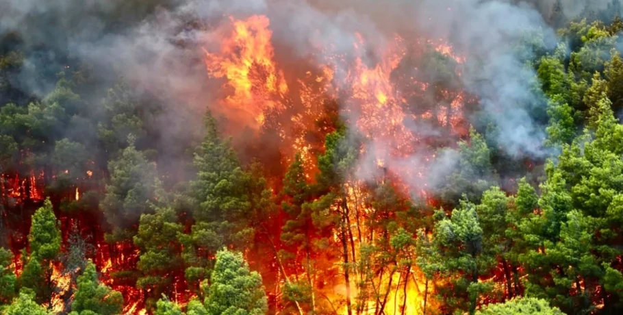 Χαρακτηριστικά mega fire απέκτησε πλέον η φωτιά στο Πόρτο Γερμενό, τεράστιες φλόγες απειλούν Αγία Παρασκευή και Μύτικα